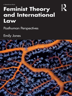 cover image of Feminist Theory and International Law